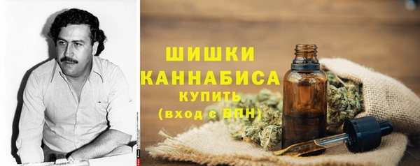 сатива Абаза
