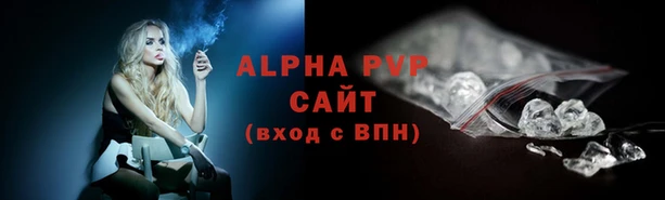 сатива Абаза