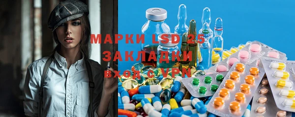 шишки Абинск