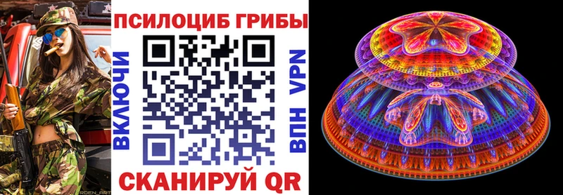 Псилоцибиновые грибы MAGIC MUSHROOMS  цены наркотик  Кострома 