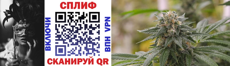 OMG   купить   Кострома  Бошки Шишки семена 